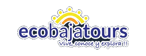 EcoBaja Tours